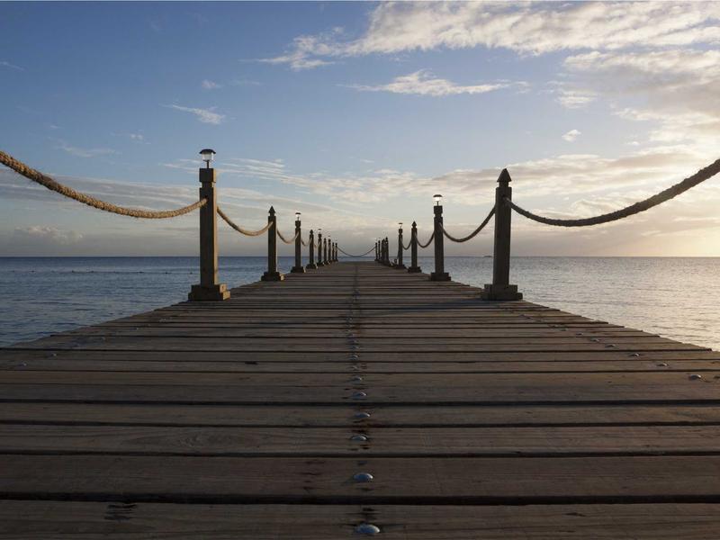 分发引擎<br>图文/视频跨平台一键同步